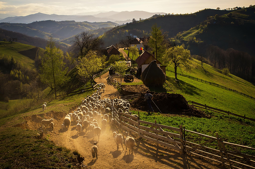 17. The Spring afternoon in Holbav Village