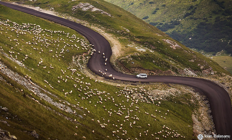 19. This road that splits the mountain