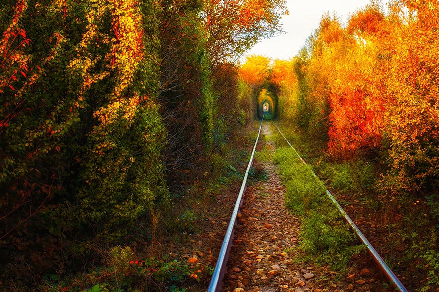 21. The tunnel of Love