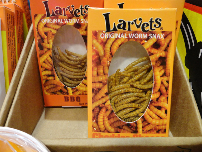 1. Flavored Larvae