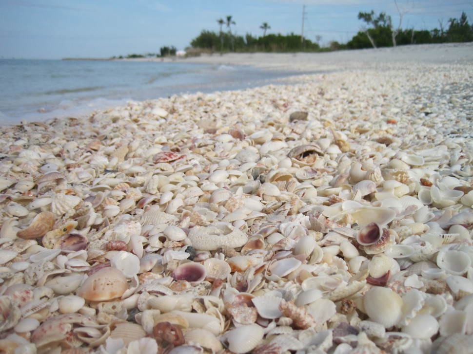 Sanibel Island