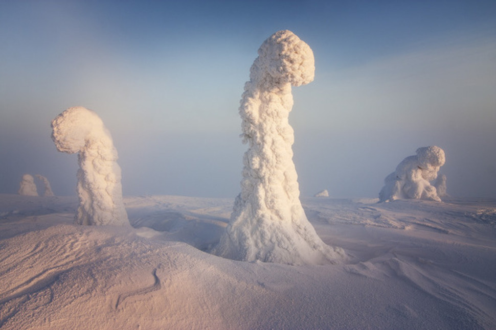 Sentinels of the Arctic