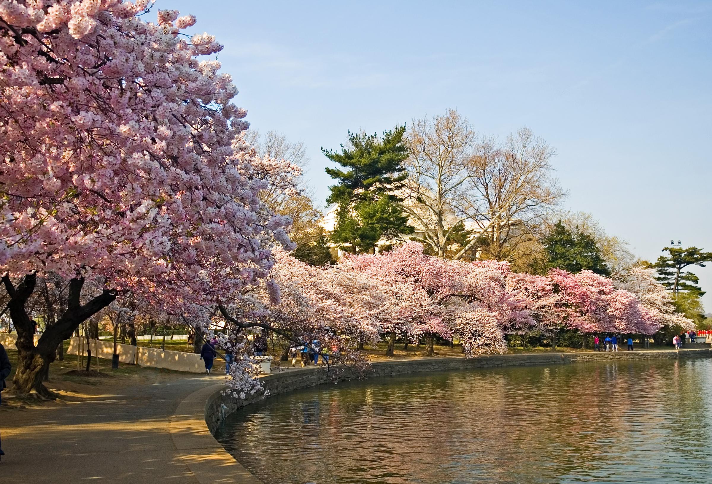 Tidal Basin, Washington, D