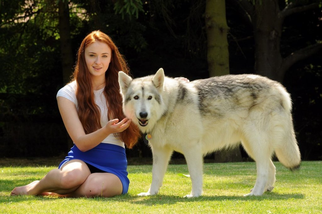 1. Sophie Turner adopted the dog that played her dire wolf