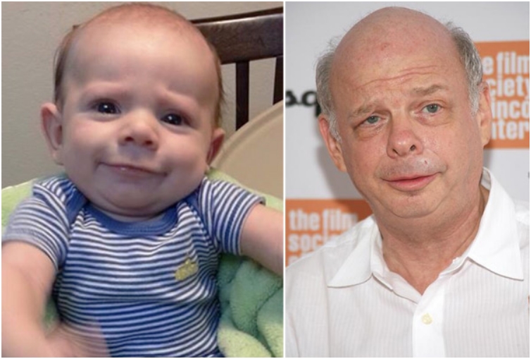 1. Wallace Shawn