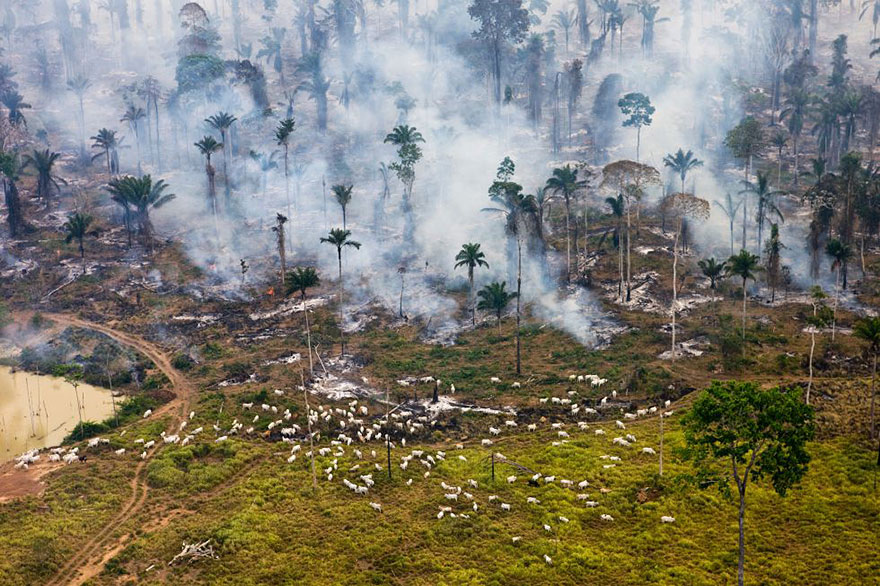 10. Burning Amazonian jungle