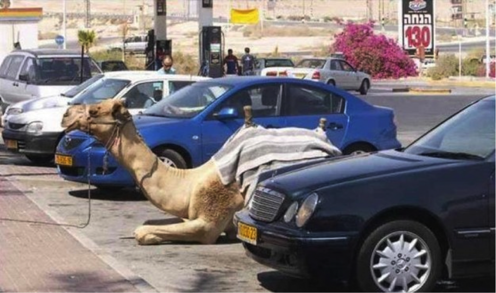 very-unusual-things-you-can-see-every-day-in-dubai