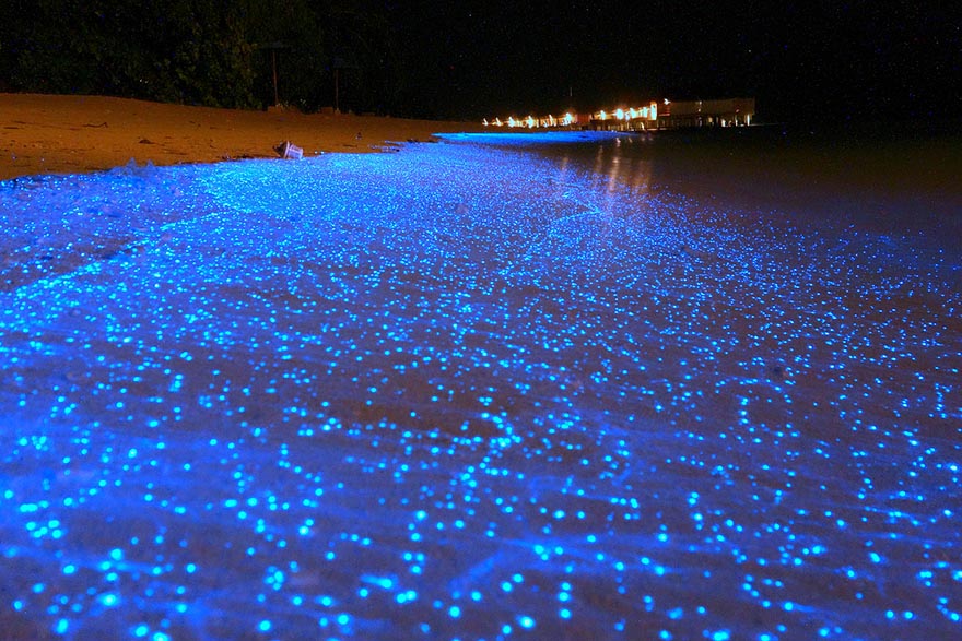 27. “The Starry Night” Maldives Beach