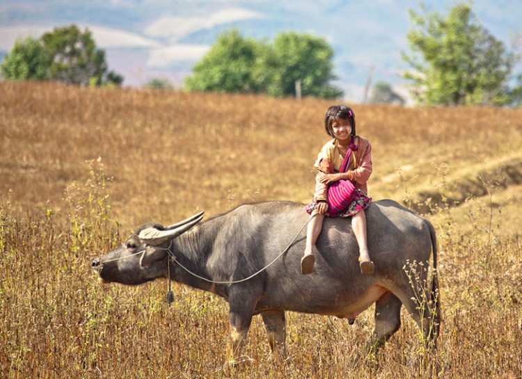 8. Myanmar