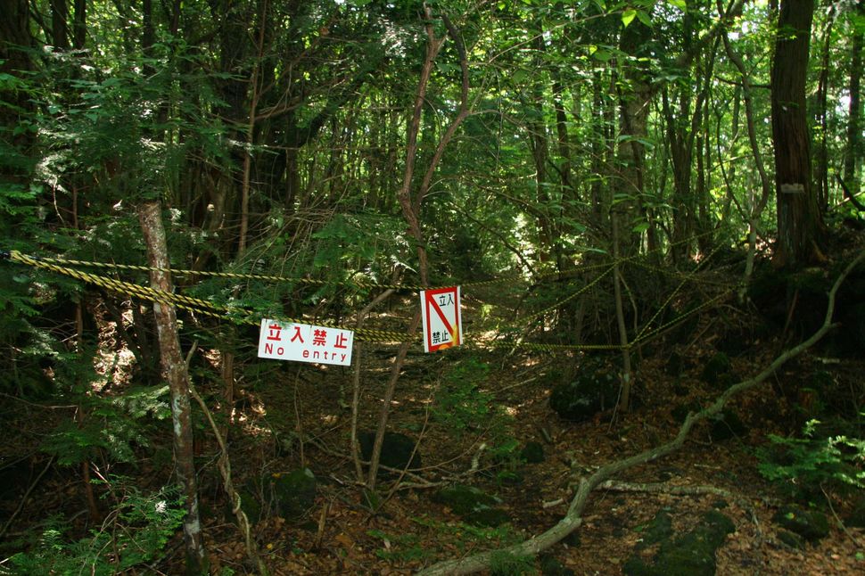 8. Suicide Forest in Japan