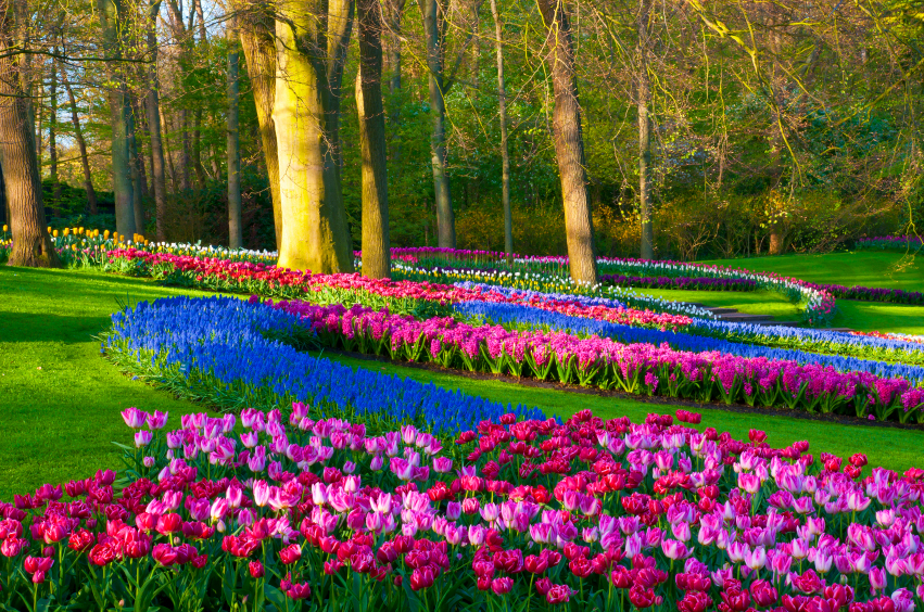 Keukenhof Gardens, Netherlands