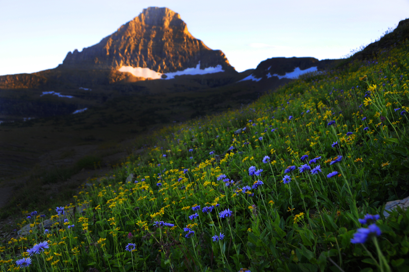 Logan Pass, Glacier National Park, Montana