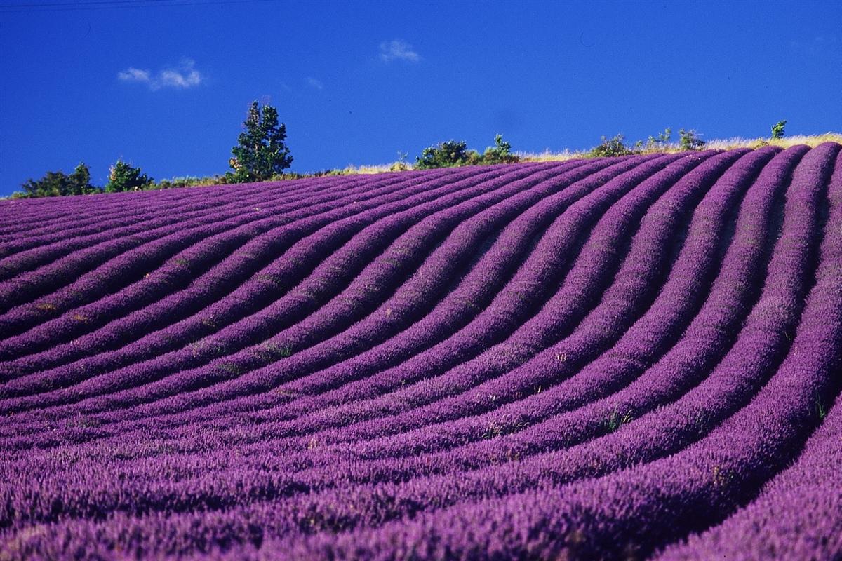 Provence, France