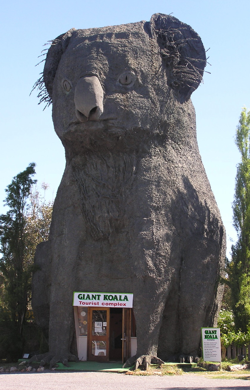 The Giant Koala, Dadswells Bridge, Victoria. November, 2004.