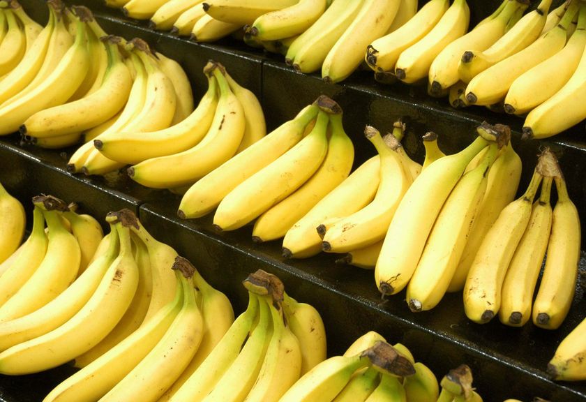 14. Bananas share 50 of our DNA