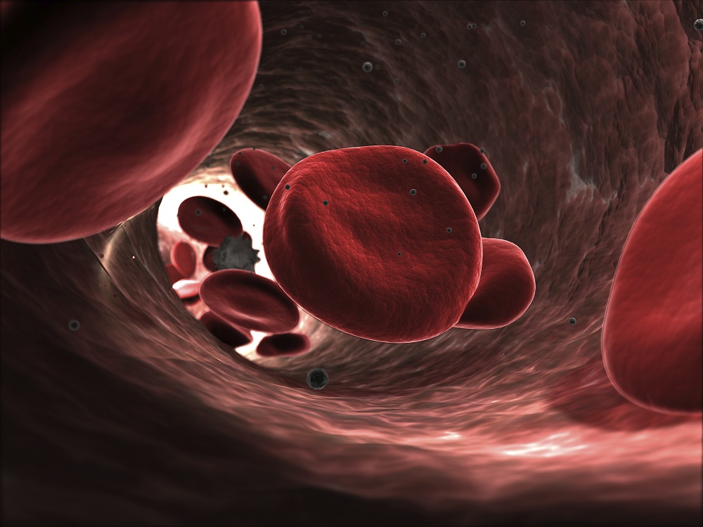 5. Red blood cells travel around the body in 20 seconds